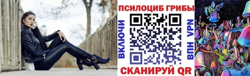 blacksprut онион  Вышний Волочёк  Псилоцибиновые грибы Magic Shrooms 
