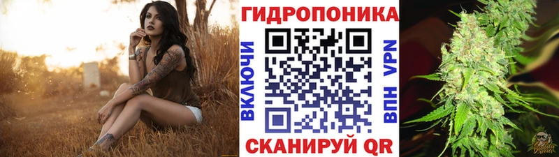 как найти закладки  ссылка на мегу ТОР  Бошки марихуана Ganja  Вышний Волочёк 